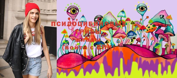 мяу мяу мука Балабаново