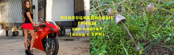 мяу мяу мука Балабаново