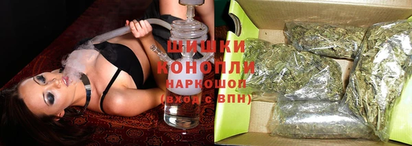 твердый Тобольск
