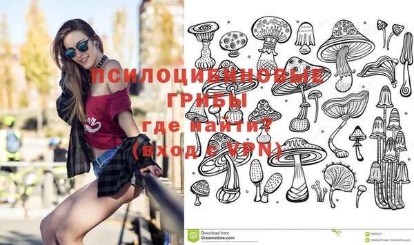 молекула духа Баксан